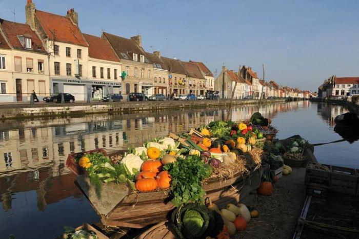 Bel Appart - Rez-De-Chaussee - Hyper Centre Sint-Omaars Buitenkant foto
